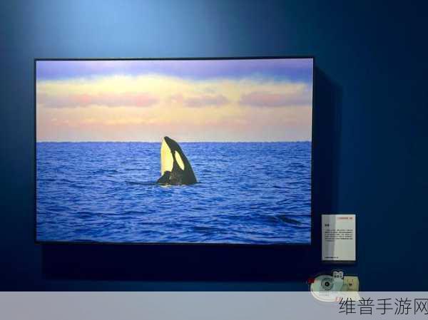 TOBU8高清视频:1. TOBU8高清视频:探索高清视觉盛宴的新境界