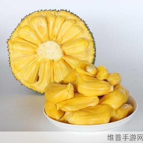 菠萝蜜一线二线三线品牌:1. 菠萝蜜品牌解析:从一线到三线的市场布局