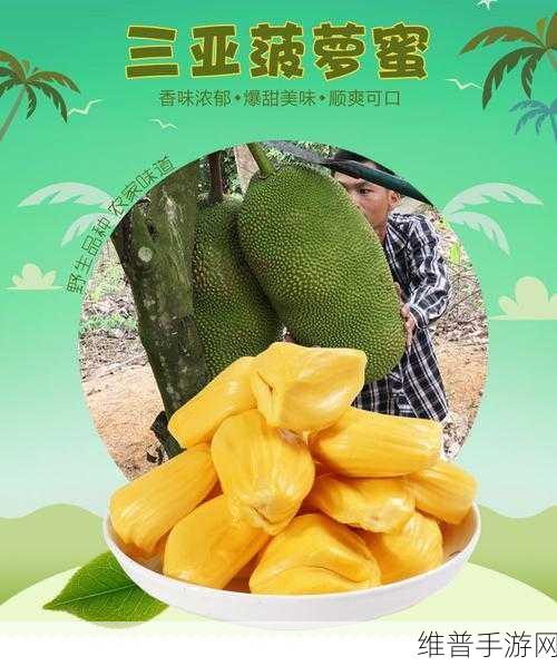 菠萝蜜一线二线三线品牌:1. 菠萝蜜品牌解析:从一线到三线的市场布局