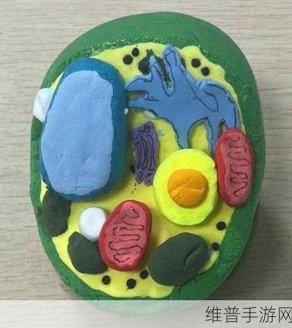 生物课老师拿自己做繁衍例子：1. 生物课堂：以自我繁衍为例的生命奥秘探索