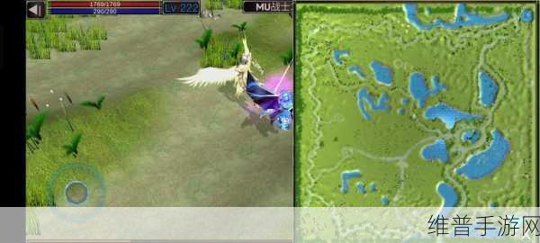 潮水仙踪林companyLimited：1. 潮水仙踪林有限公司：探索自然之美的先锋