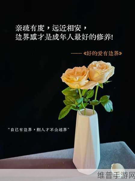 家庭关系边界感：1. 家庭关系中的边界感：建立健康互动的重要性