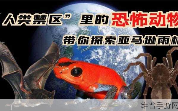 亚洲无人禁区：1. 探索亚洲无人禁区：神秘之地的奥秘