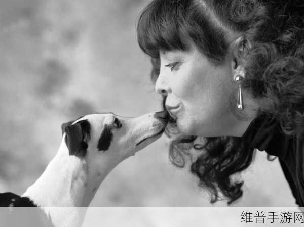 人与畜禽共性关系的重要性意义：1. 人与畜禽共生关系：生态平衡的重要纽带