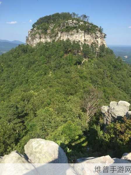 双手游走在一丛茂密：1. 在茂密林中，双手勇闯未知之旅