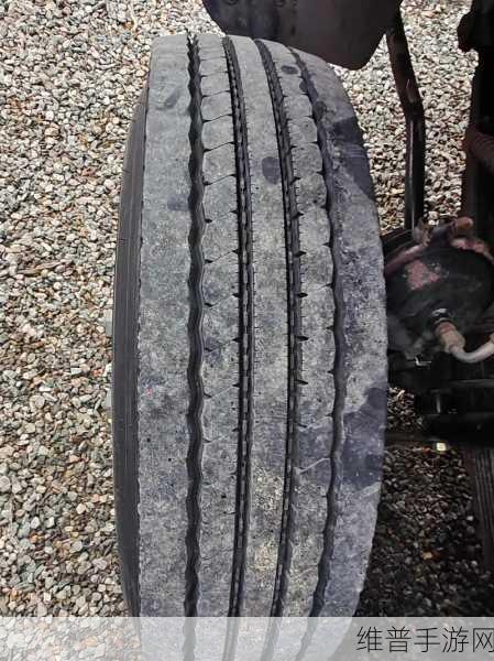 国产卡二卡3卡4卡四卡：1. 国产卡的崛起：从二卡到四卡的全景探索