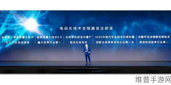 国产卡二卡3卡4卡四卡：1. 国产卡的崛起：从二卡到四卡的全景探索