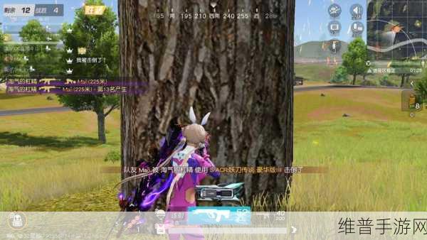 荒野行动画质全面提升，飓风突击带来别样竞技体验