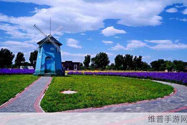 探秘伊甸园2024二路三路四路五路:当然可以!以下是一些基于“探秘伊甸园2024”主题的标题建议,字数不少于10个字: