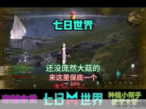 七日世界手游攻略,揭秘庞然大菇的获取之道
