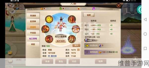 神仙道主角法术丹药攻略,提升法术防御的明智之选