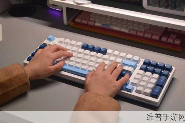 激情办公室之双飞燕可以结识世界各地的朋友：1. 激情办公新体验：双飞燕助你结识全球好友