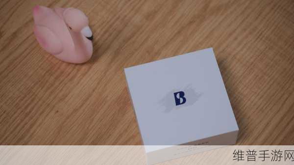 激情办公室之双飞燕可以结识世界各地的朋友：1. 激情办公新体验：双飞燕助你结识全球好友