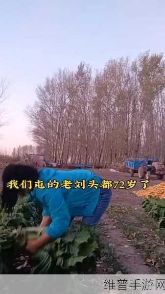 老刘头的幸福晚年张倩倩的故事背景和人物发展如何：当然可以！以下是一些基于老刘头和张倩倩故事背景及人物发展的新标题建议：