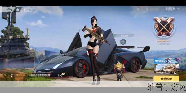 荒野行动精准射击,掌握瞄准技巧,提升游戏胜率