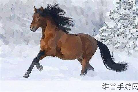 马是怎么和人交流配的：1. 马与人：探索沟通的非言语艺术