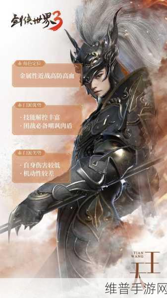 剑侠世界3天王职业深度攻略,自动战斗配置详解