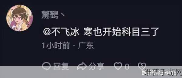 逆水寒手游雪满千山任务攻略,解锁飞冰台技巧详解