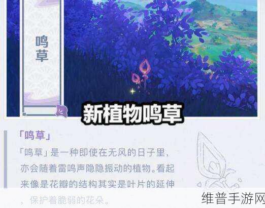 原神2.4版本新增委托任务详细一览及相关介绍