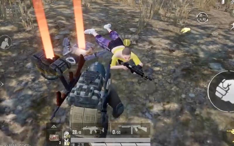 刺激战场更名和平精英，玩家流失背后的深度剖析