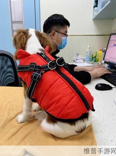 狗狗射速太快对女生有伤害吗：1.狗狗射速过快对女性健康的潜在影响