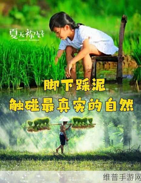 情侣的100种插秧方法：1. “田间浪漫：情侣插秧的幸福时光”