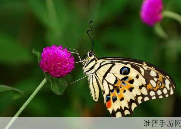 蝴蝶传媒每天免费一次无限制版:1. 蝴蝶传媒每日免费无限制版,畅享无尽观影乐趣!