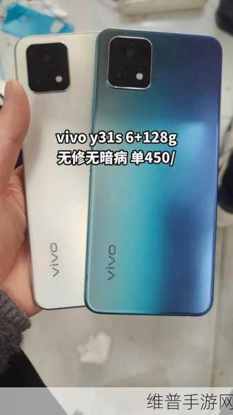 深度解析成色好的Y31:1. 深度解析Y31:探寻成色好的秘诀与价值