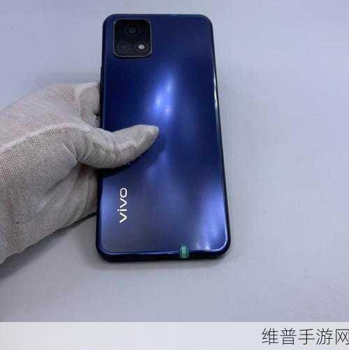 深度解析成色好的Y31:1. 深度解析Y31:探寻成色好的秘诀与价值