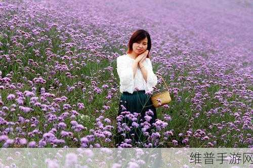 薰衣草实验室研究所2023隐藏路线:1. 薰衣草实验室:探索2023年度隐藏路线的新视角