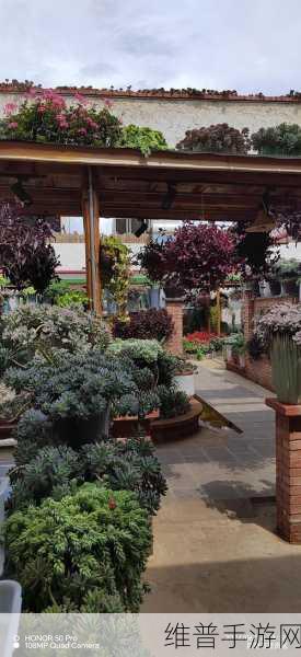 亲小花园的时候需要垫枕头吗:1. 亲小花园时垫枕头的重要性解析