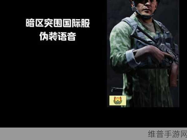 暗区突围伪装任务完美达成秘籍