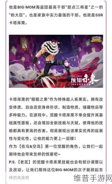 航海王燃烧意志，角色升级秘籍大公开