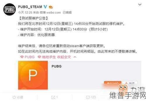 Steam 绝地求生维护时间及手游攻略全解析