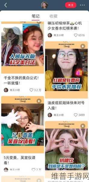 手游秘籍,无字幕小红书视频也能玩转攻略