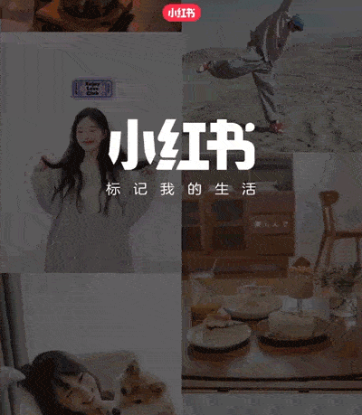 手游秘籍,无字幕小红书视频也能玩转攻略