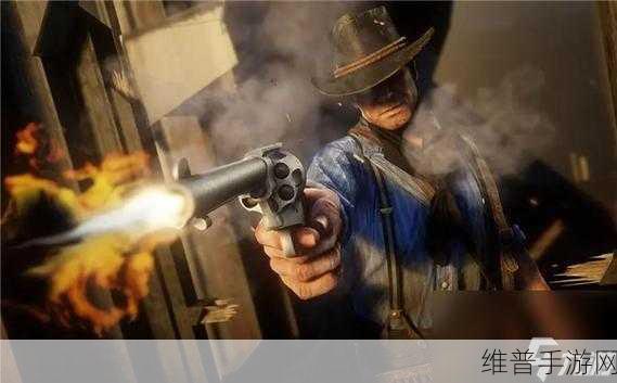 暴躁大妈荒野大镖客:1. 《怒火中烧:荒野大妈的复仇之路