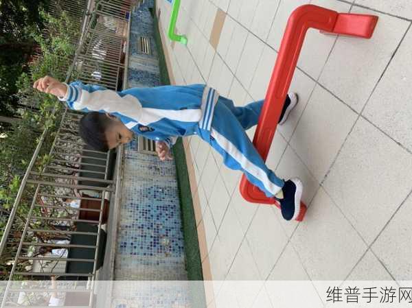 拔萝卜打扑克：1. 拔萝卜与打扑克：趣味游戏的双重挑战