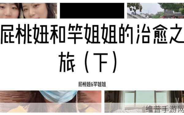 沉浸式治愈之旅，安卓版清洁小能手深度攻略与体验