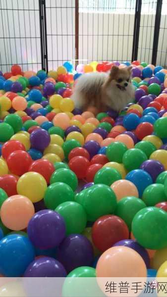 狗狗托儿所游戏下载全攻略，打造你的梦幻宠物乐园