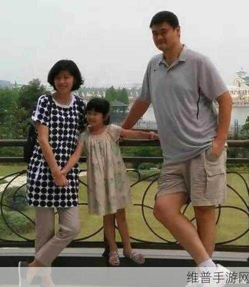 姚明的身高床要定制:1. 姚明身高引发的床定制潮流