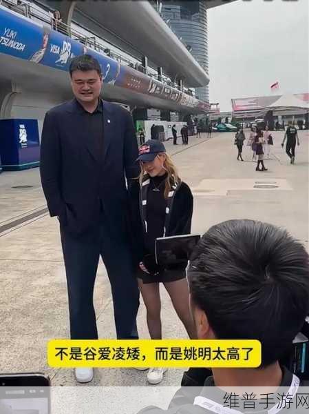 姚明的身高床要定制:1. 姚明身高引发的床定制潮流