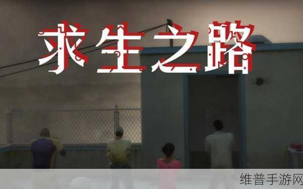 求生之路网吧如何局域网联机:1. "求生之路:网吧局域网联机全攻略分享