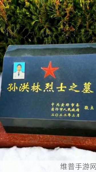 烈士孙洪林执行什么任务:1. 孙洪林烈士:为国捍卫的无畏勇者