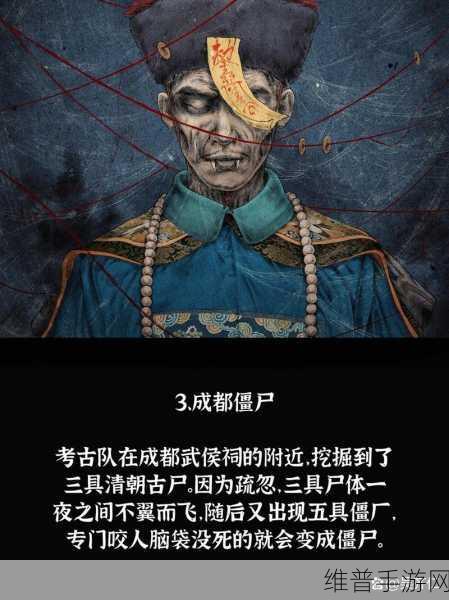 yw163coc龙物失联：1. 龙物失联背后的谜团与真相揭示