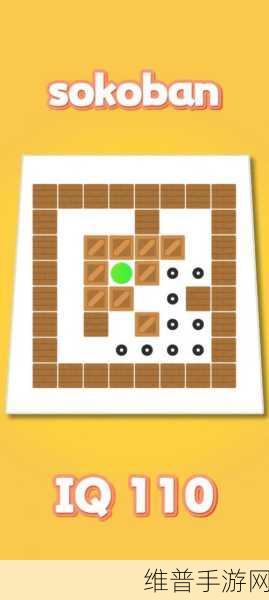 谜题达人手机版下载,探索十分好玩有趣的休闲益智烧脑解谜世界