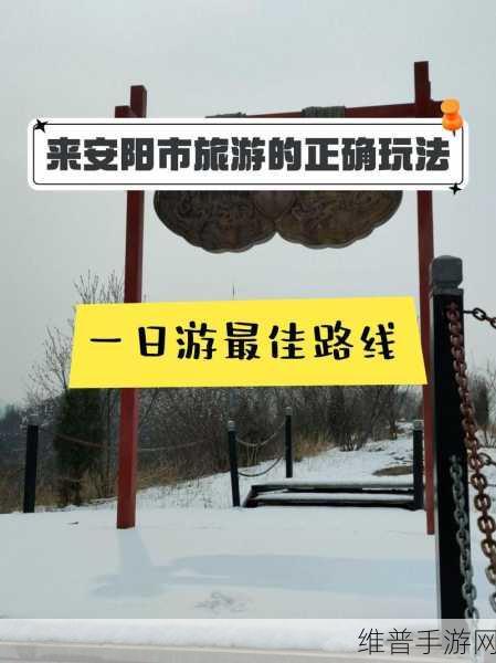 爱情岛1号线和2号线:1. 爱情岛的浪漫旅程:探索爱情岛线一与二