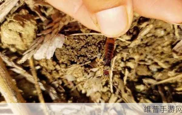 虫虫资源库:1. 深入探讨虫虫资源库的多样性与应用