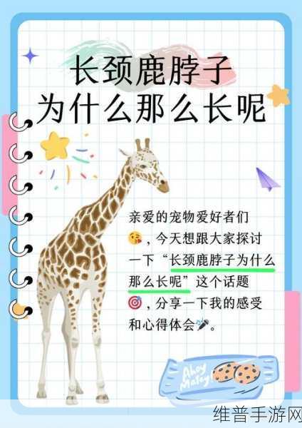 虫虫资源库:1. 深入探讨虫虫资源库的多样性与应用