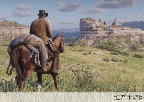 荒野大镖客PC版：荒野大镖客：自由之路与无尽冒险